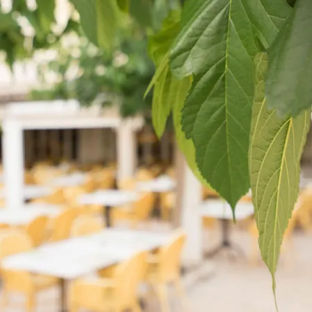 Houm Plaza Son Rigo Ξενοδοχείο με διαμερίσματα