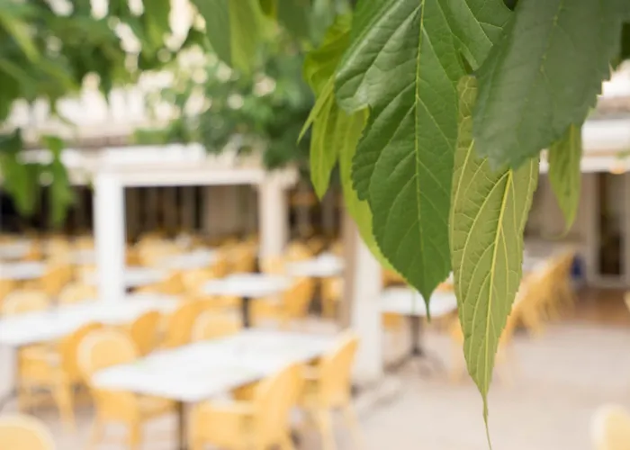 Houm Plaza Son Rigo Aparthotel